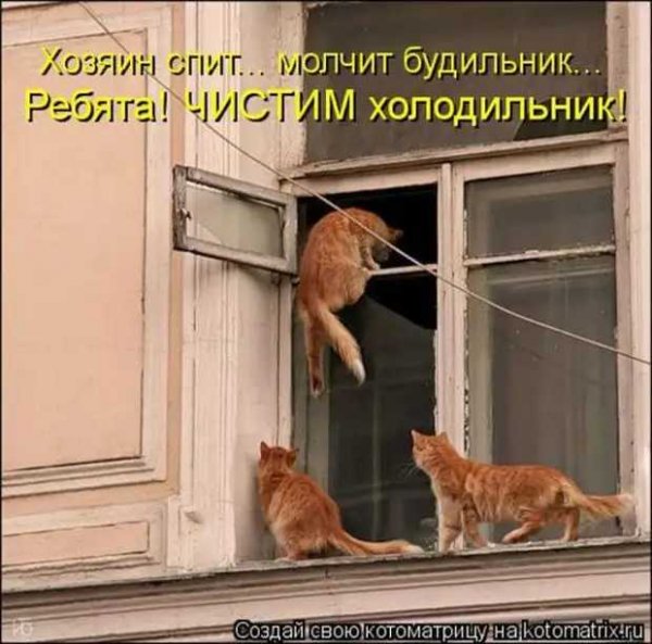 Чистим холодильник!