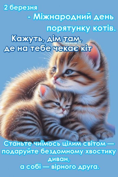 День порятунку котиків