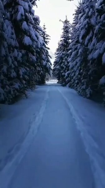 Vlcsnap-2025-02-18-17h06m14s553