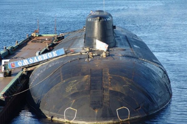 barakudasssssss CPkce24h8ky