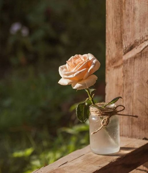 vdOK4m4oNvoczY01dhxP4Gk ZIB5Mz2qO4vVzxIBzo5BSsj9-6rDuHdt5N