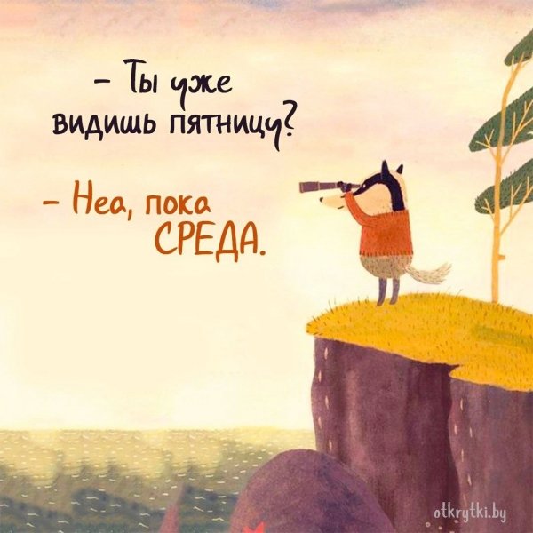 Среда