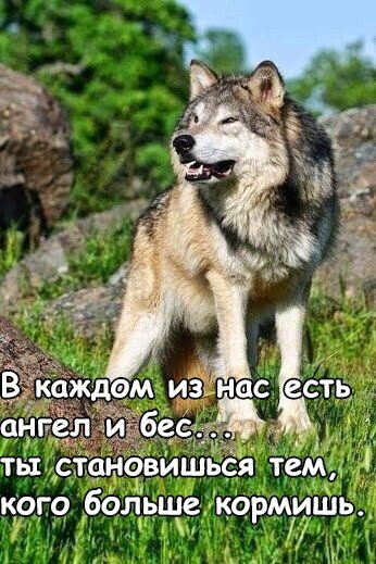 IMG 20220311 111633