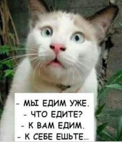 FB IMG 1755951901614