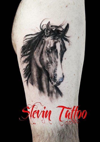 Tattoo (4775)