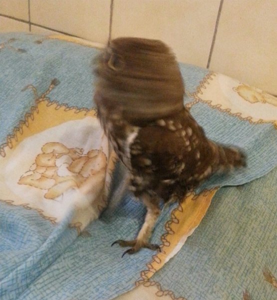 PicsArt 1407906881415