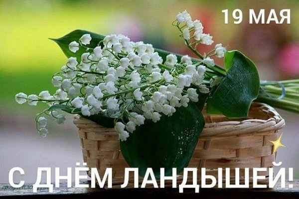 Изображение viber 2023-05-19 03-27-06-730