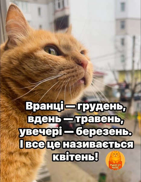 Коли вже почнеться та довбана жара?