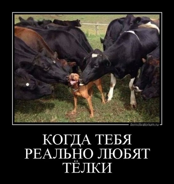 Тебя любят