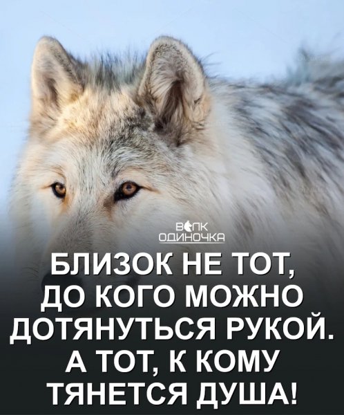 К душе