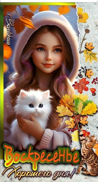 F4c8939e2d380b40fd05f3ffbac75425