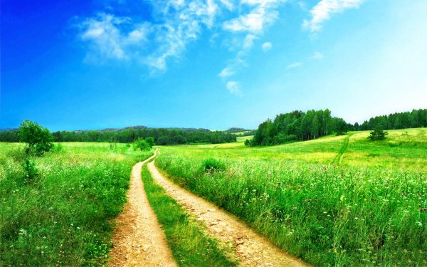 Photography-landscape-field-green-meadow-nature-1473081