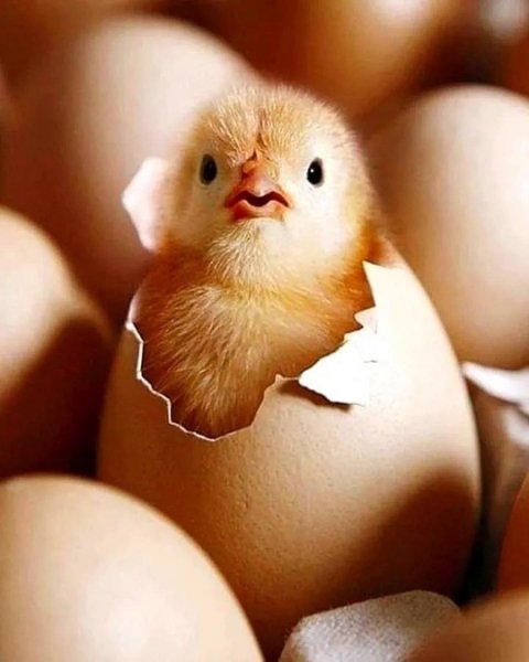 DgF2JBcazO37G1UywfOVUDvzs3OjMexXfexXJhl0Hn1YjImtXpC5AaOyEeuK