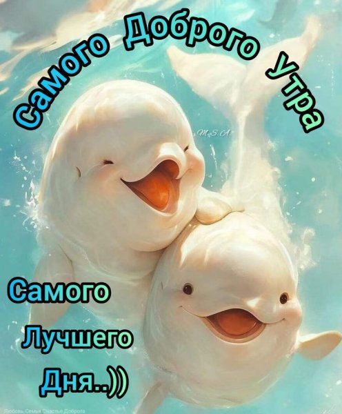 61bc6e96414e1272096b478c47a2b64d