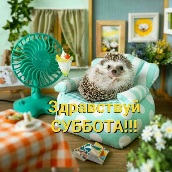 B8d7bd65fe77922260de124db1cb2fc0