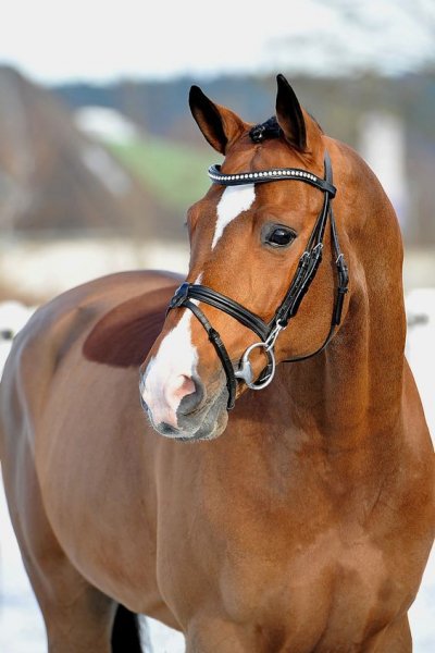 fe48ee6a0cc44008b001522b