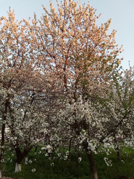 IMG 20210501 190427