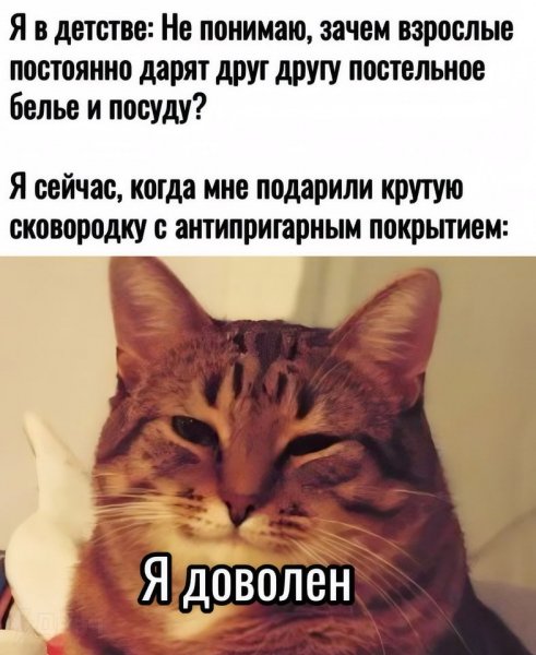 IMG 20260517 120701 274