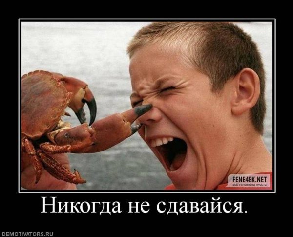 Demotivator (27)-