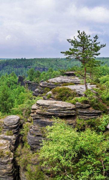 Screenshot 20251201-022055 One UI Home