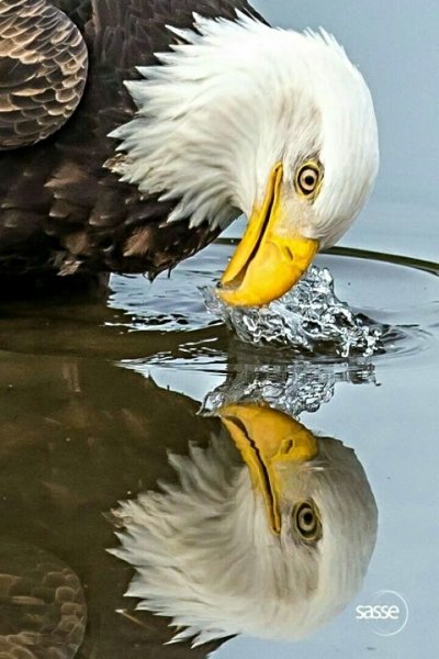 35a47cd27280825fb5d71c3568fbb04b