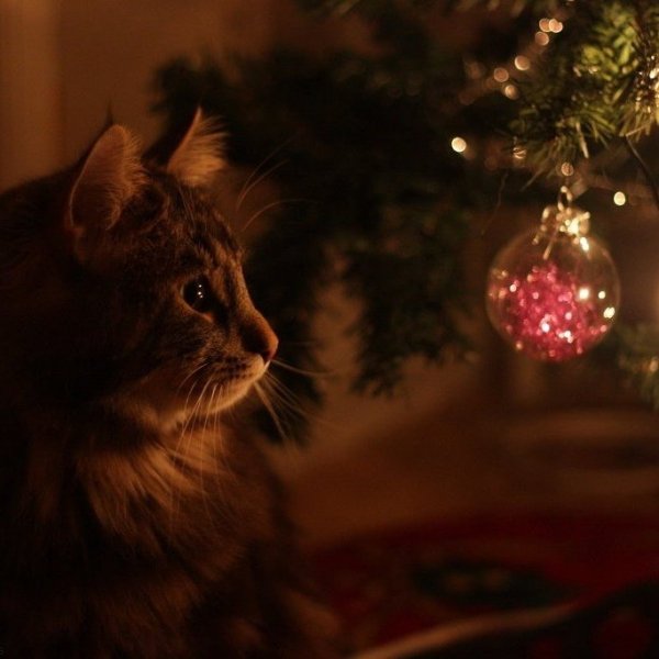 C88d7f1c7eb6fa0d3cf83b255431fa85