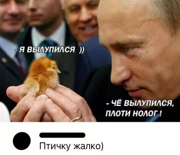 TfuMjqZ5PYc