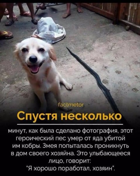 ja horowo porabotal hozjain.-