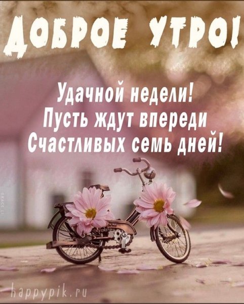 Друзья мои!