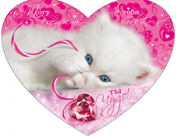 fab55c357c451c747fdb9772cff8adef
