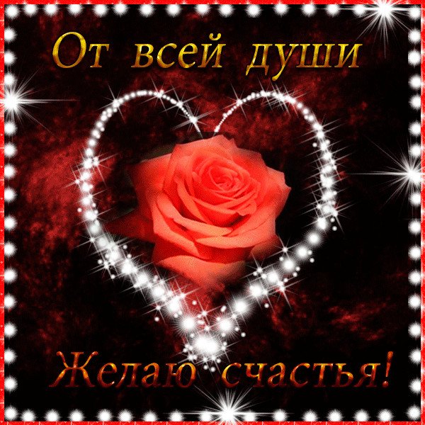 IMG 20171113 140222 23