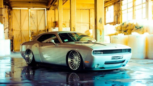 dodge avto belyy avtomobili mashiny avto 1920x1080