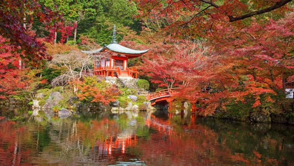 Japan Kyoto Parks Pond Autumn Pagodas Shrubs 538285 2560x1440