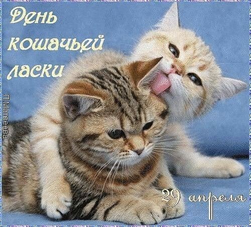 Изображение viber 2024-04-29 02-03-08-906