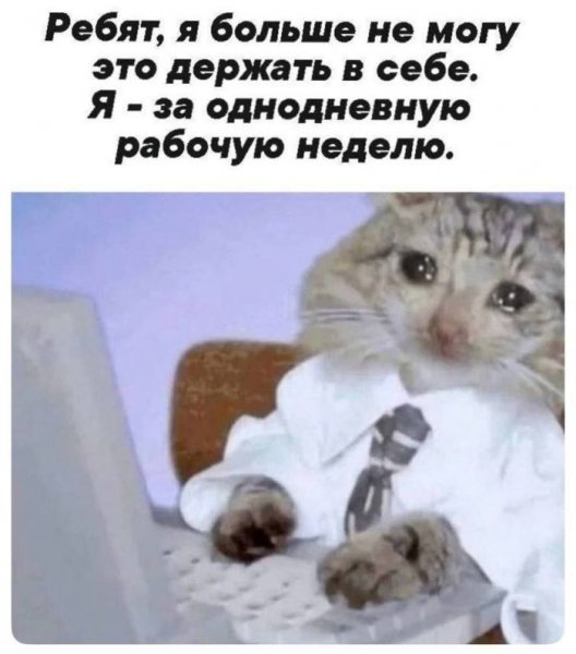ccdd 00000000000000000000000