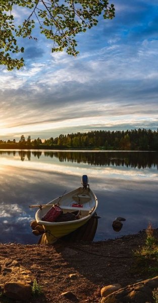 Арт Природа