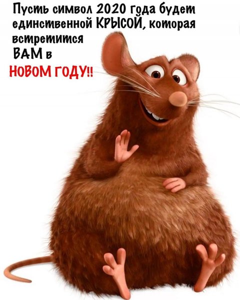 4c43a6458ba47bd542b7ae8ac182fba3