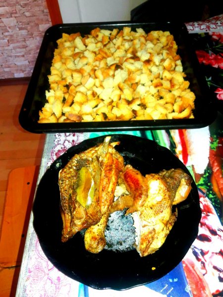 IMG 20240813 143512 539