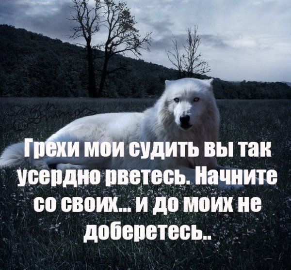 WS5RghUsoH0