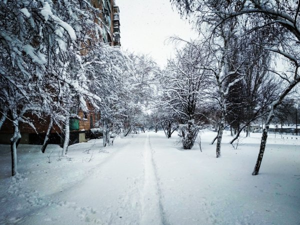 IMG 20181225 103756 033