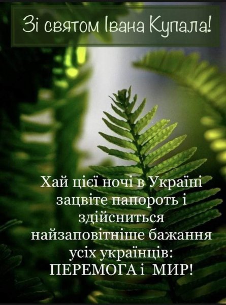FB IMG 1719227438900