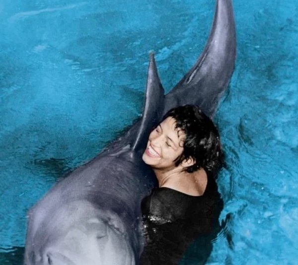 3UzLQ3gix61MQND0dyktVze7ShYl8 h8I5ThFNYTHF TRCv4VWIgEp7- ja0