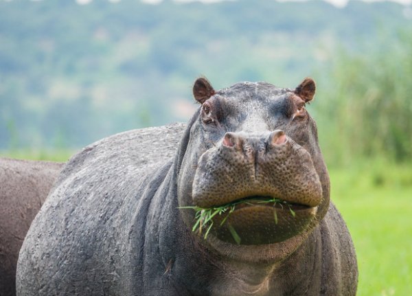 Be5b1fa85b81403a654dcbcf1703ae9a