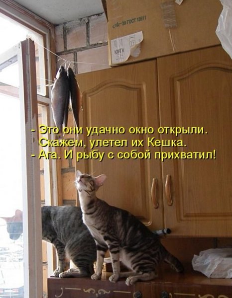 Ага