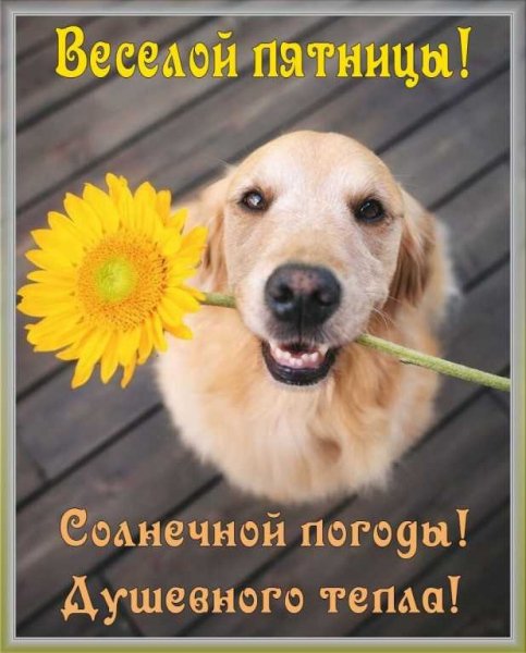 Душевного тепла!