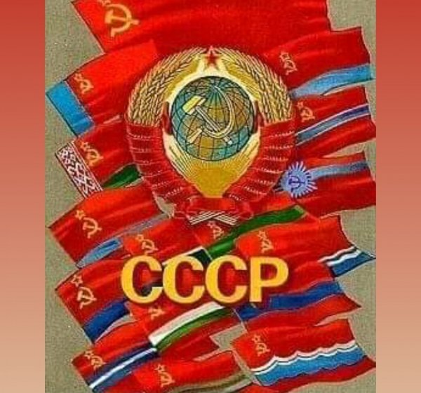 IMG 1629105295489 resized