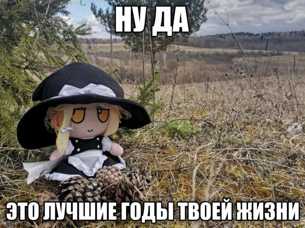 picture_412696983