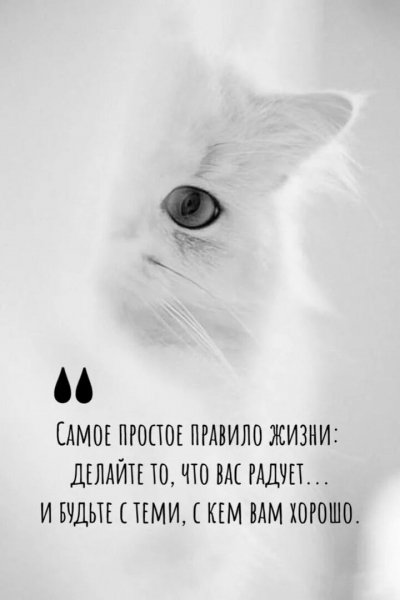 Правило жизни