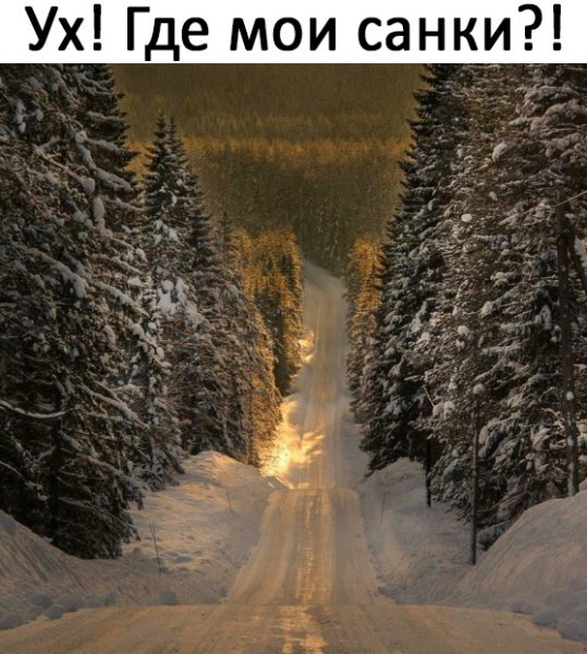 Ух, где мои санки