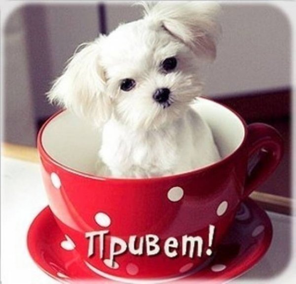 при 4